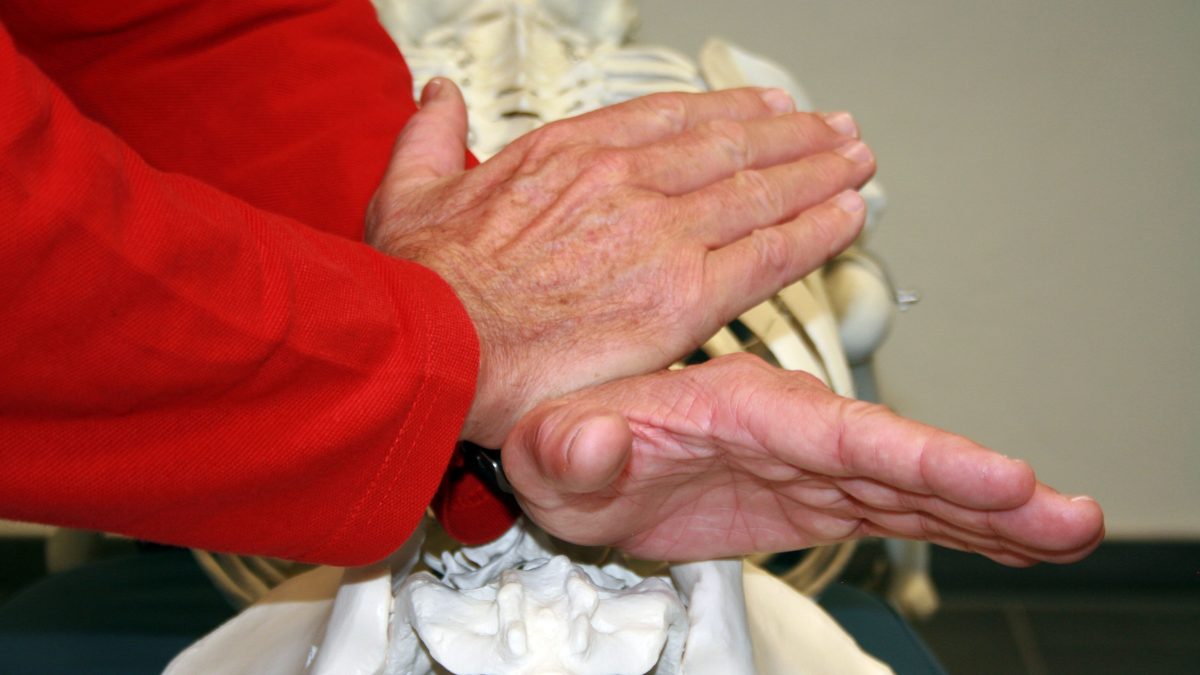Full-Spine-Specific-Technique (FSST) Full-Spine-Specific-Technique (FSST)